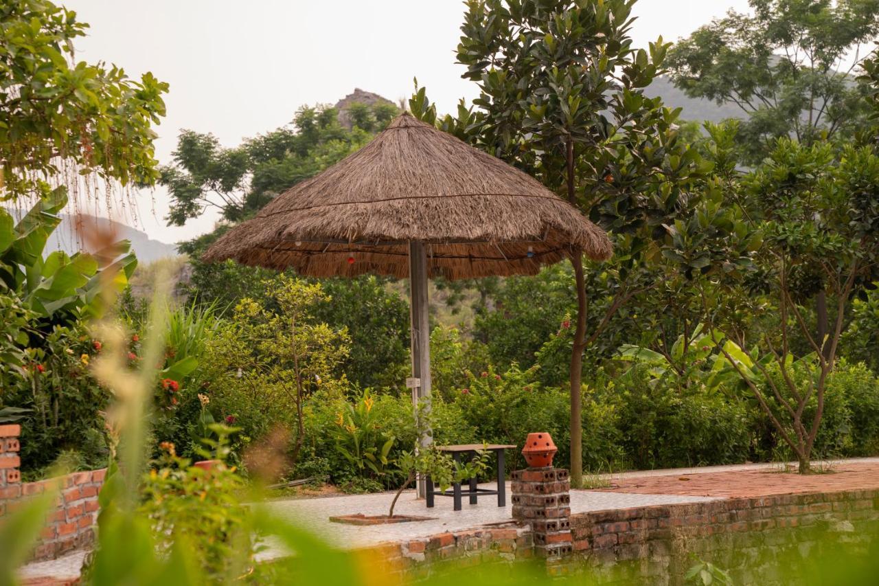 Tam Coc Cat Luong Homestay Ninh Binh Esterno foto