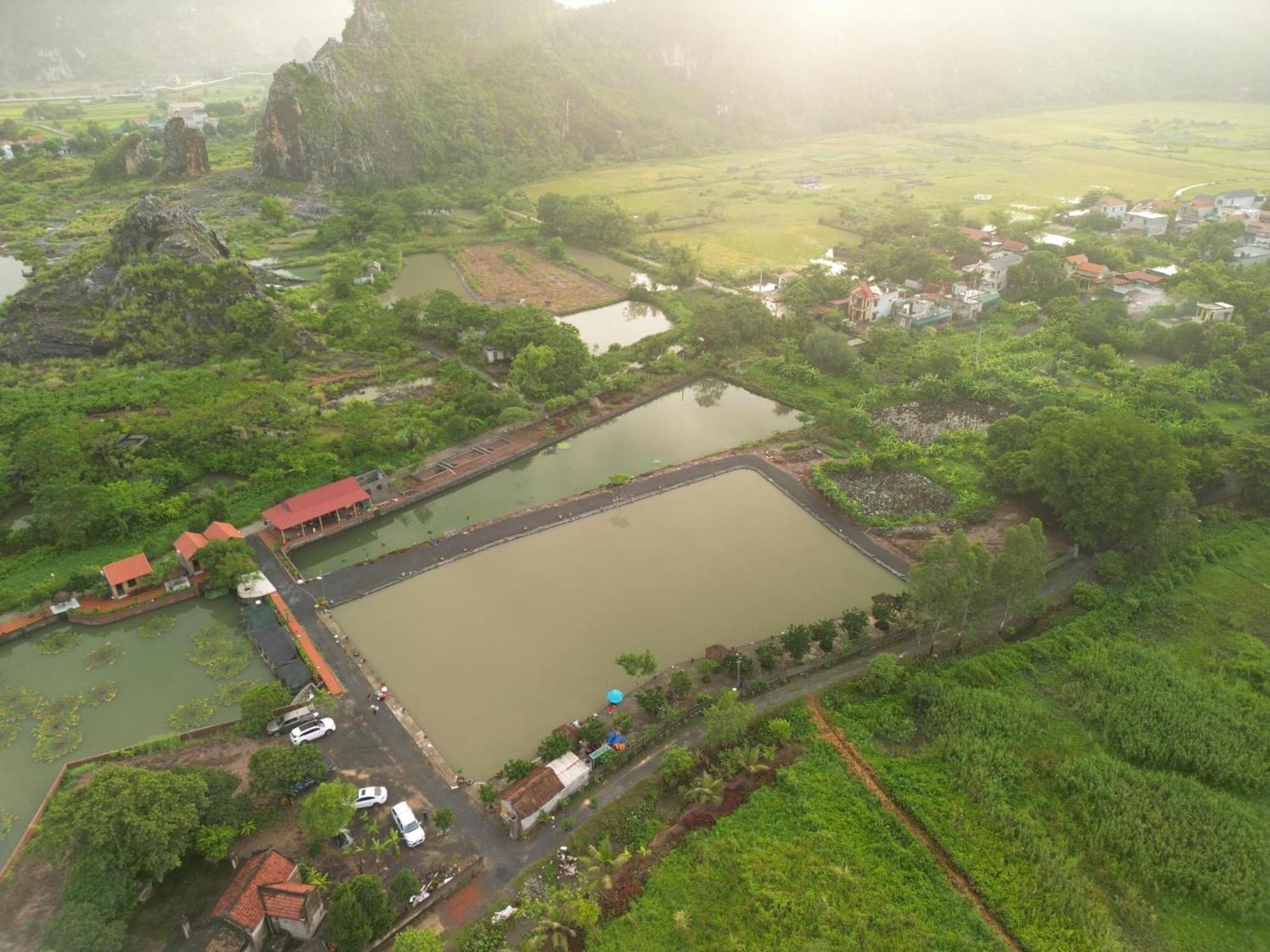 Tam Coc Cat Luong Homestay Ninh Binh Esterno foto