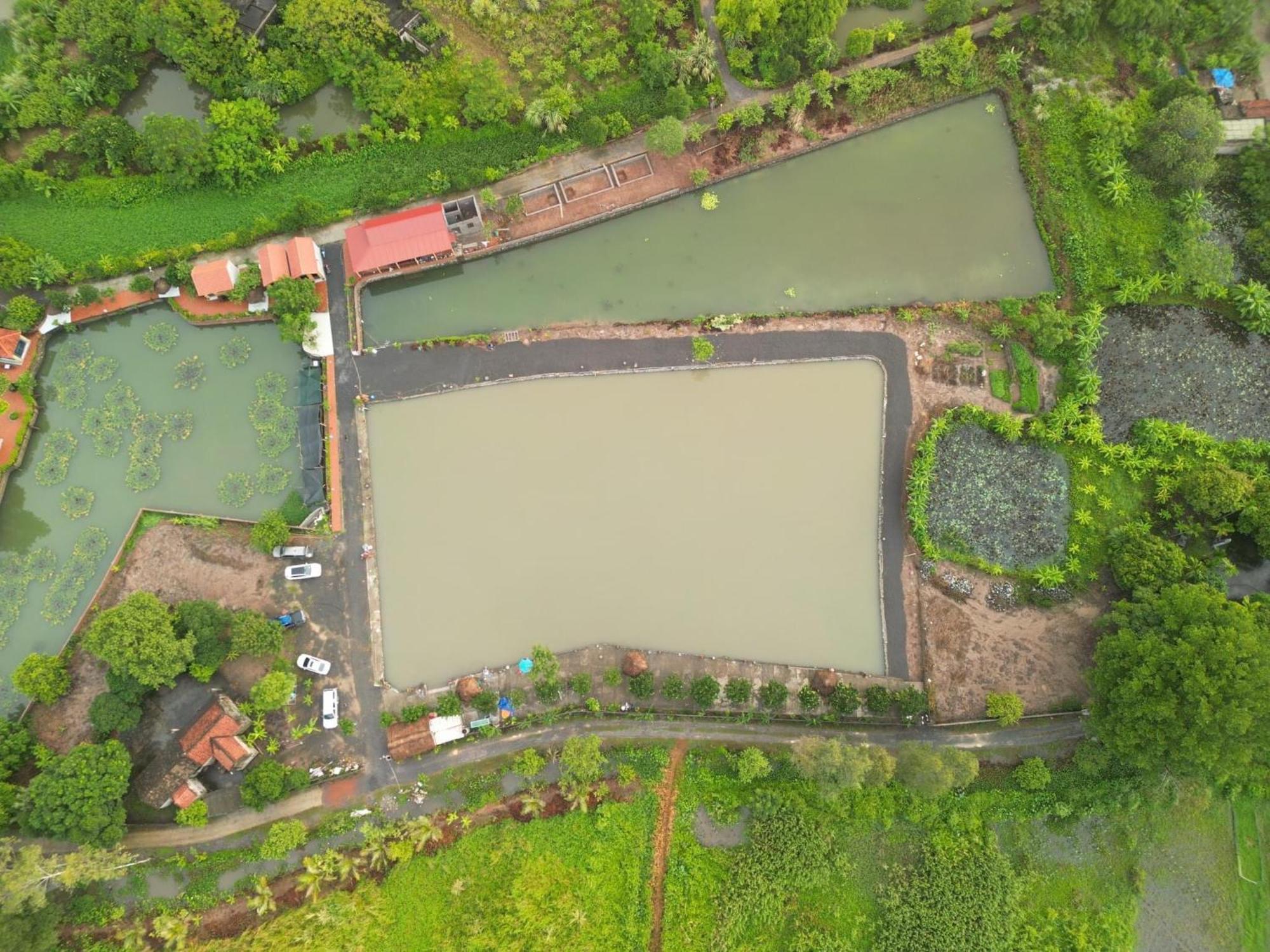 Tam Coc Cat Luong Homestay Ninh Binh Esterno foto